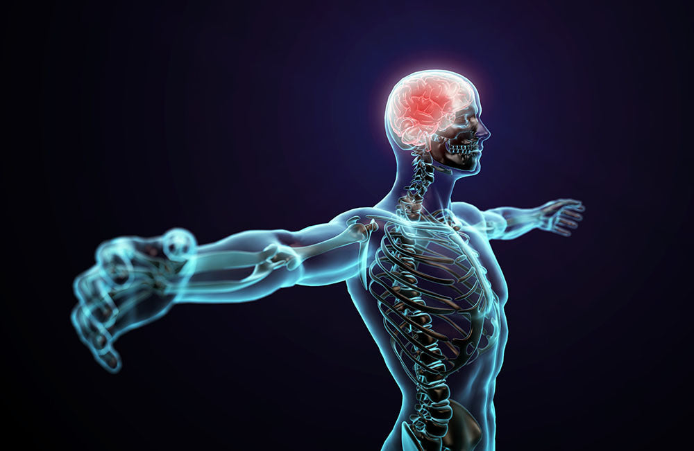 Physiotherapy