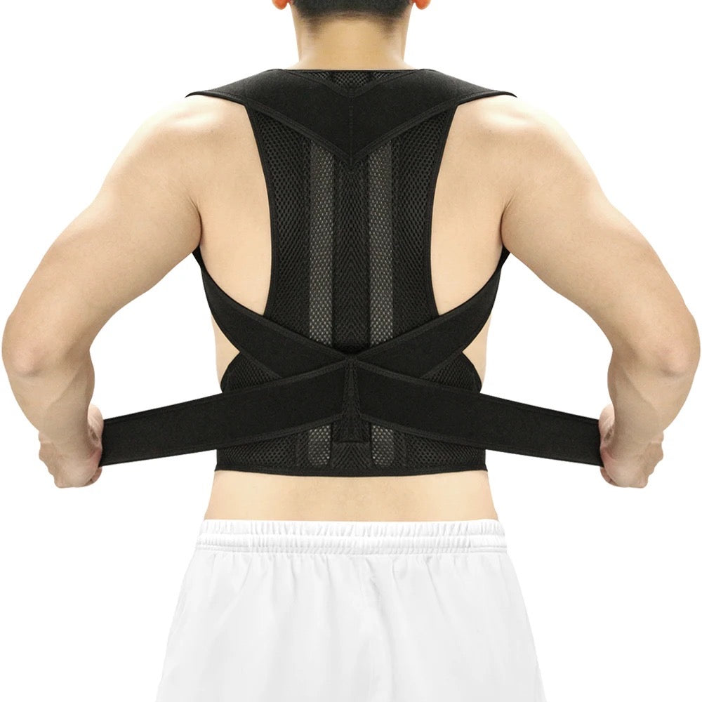 Full Back Belt