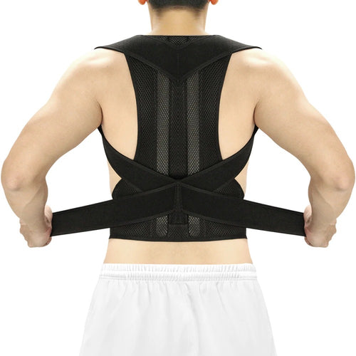 Full Back Belt